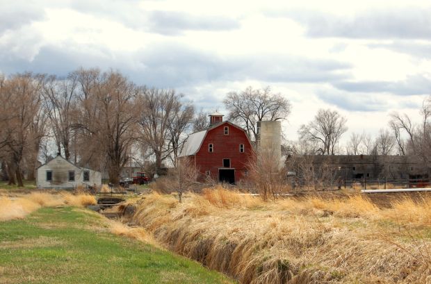 Barn